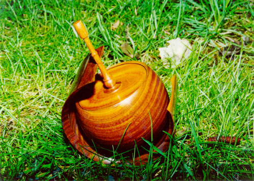 Schaukeldose im Gras